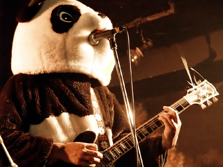 Pandas Play Guitar Too