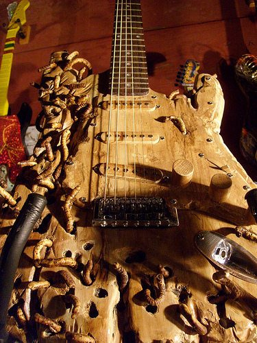 Spooky : Guitar Infested by Maggots!