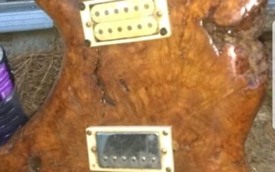 Unleash Your Inner Lumberjack with the Tree Trunk Guitar