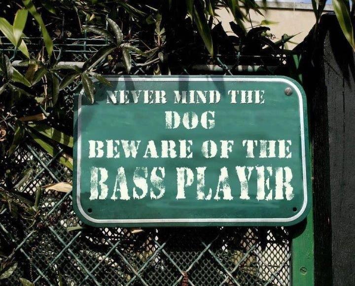 Never Mind the Dog… Beware of the Bass Player