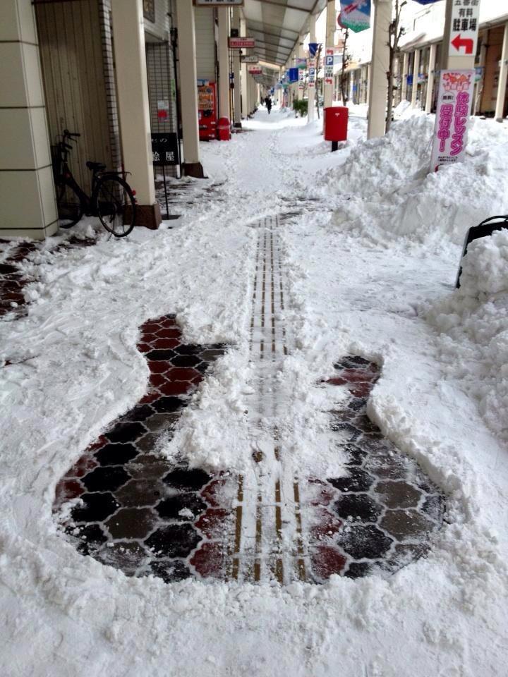 Snow-Bass