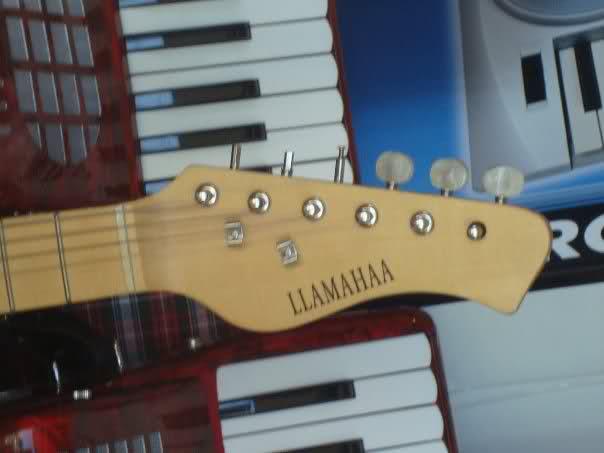 Llamahaa-Guitar