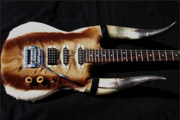 The Ultimate Warmoth Custom ?