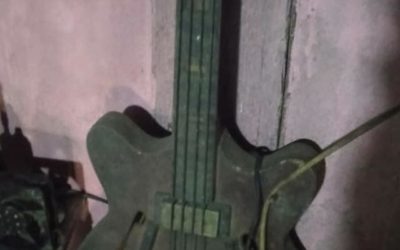 Beneath The Dirt, A Wonderful Teisco Excetro Bass ?