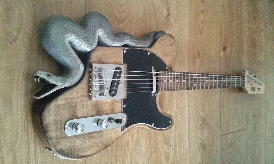 Telecaster or Telesnake? The Rattlesnake Guitar That Bites Back Anyway !