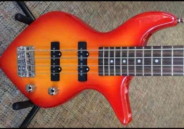 A Fishy Four-Stringed Wonder: Slappin' the Bass or Flappin' the