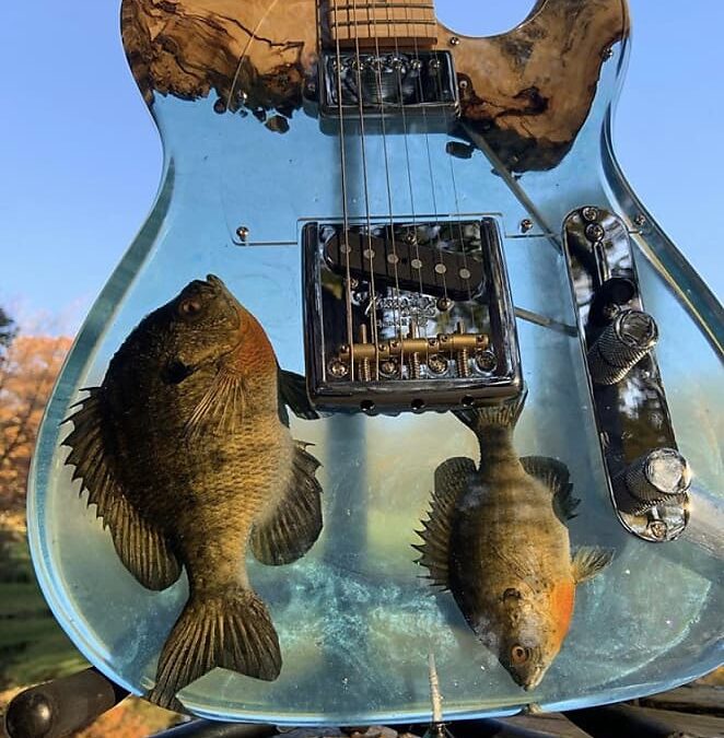 Catch of the Day: The Fishiest Telecaster You’ve Ever Seen