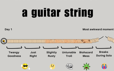 Life and Death of a Guitar String
