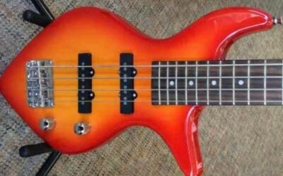 A Fishy Four-Stringed Wonder: Slappin’ the Bass or Flappin’ the Fins?