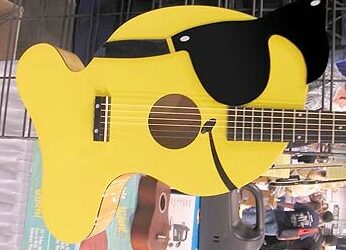 From Snack to Strum: Pignose’s Goldfish Guitar Bait!
